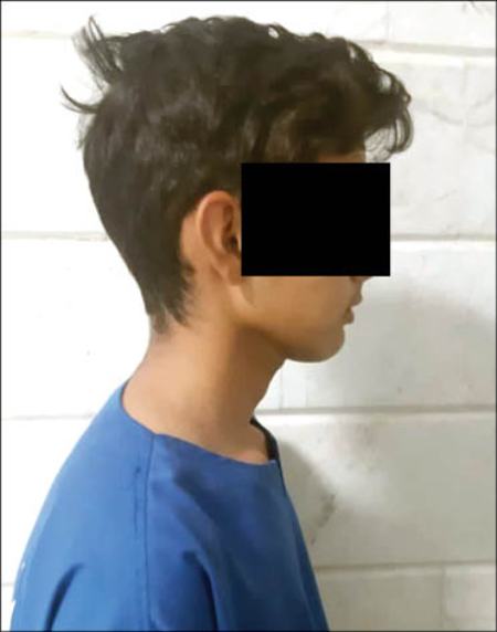 حوادث روز,اخبار حوادث,خبرهای حوادث