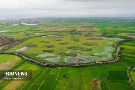ماهیگیری دسته جمعی ،اخبارگوناگون,خبرهای گوناگون ماهیگیری دسته جمعی ,اخبارگوناگون,خبرهای گوناگون
