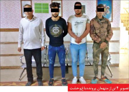 حوادث روز ،اخبارحوادث،خبرهای حوادث حوادث روز,اخبار حوادث,خبرهای حوادث