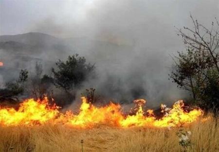 اخبار،اخبار جدید،اخبار روز اخبار،اخبار جدید،اخبار روز