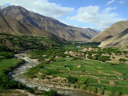 طالبان،اخبار بین الملل،خبرهای بین الملل طالبان،اخبار بین الملل،خبرهای بین الملل