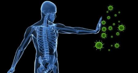 سیستم ایمنی بدن،اخبار پزشکی،خبرهای پزشکی سیستم ایمنی بدن،اخبار پزشکی،خبرهای پزشکی