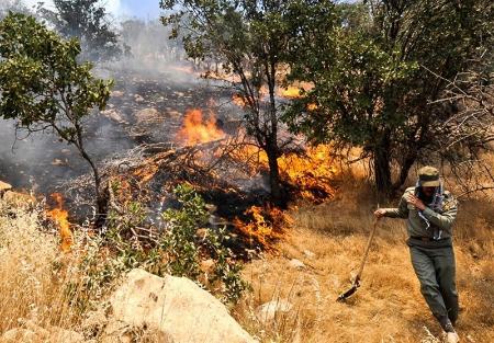 مهار آتش سوزی جنگل‌های کوه نیر،اخبار اجتماعی،خبرهای اجتماعی