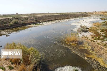  تالاب گاوخونی ,اخبار اجتماعی ,خبرهای اجتماعی 