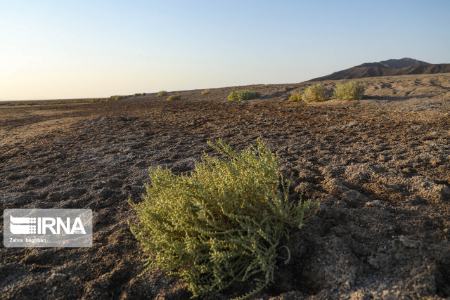 تالاب گاوخونی ،اخباراجتماعی ،خبرهای اجتماعی تالاب گاوخونی ,اخبار اجتماعی ,خبرهای اجتماعی