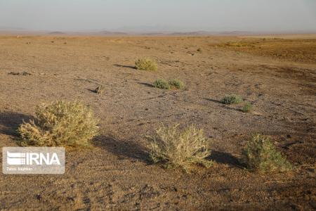 تالاب گاوخونی ،اخباراجتماعی ،خبرهای اجتماعی تالاب گاوخونی ,اخبار اجتماعی ,خبرهای اجتماعی