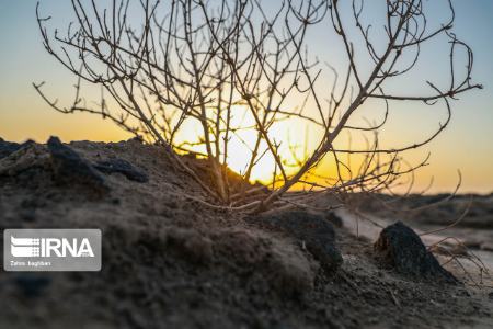 تالاب گاوخونی ،اخباراجتماعی ،خبرهای اجتماعی تالاب گاوخونی ,اخبار اجتماعی ,خبرهای اجتماعی