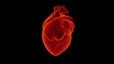 حمله قلبی،اخبار پزشکی ،خبرهای پزشکی حمله قلبی,اخبار پزشکی ,خبرهای پزشکی