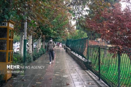 باران پاییزی،اخباراجتماعی ،خبرهای اجتماعی باران پاییزی ,اخبار اجتماعی ,خبرهای اجتماعی