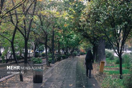 باران پاییزی،اخباراجتماعی ،خبرهای اجتماعی باران پاییزی ,اخبار اجتماعی ,خبرهای اجتماعی