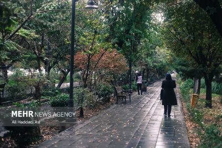 باران پاییزی،اخباراجتماعی ،خبرهای اجتماعی باران پاییزی ,اخبار اجتماعی ,خبرهای اجتماعی