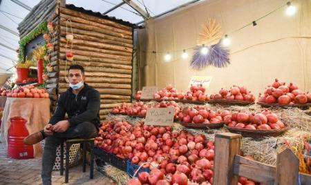 جشنواره انار ,اخبار اجتماعی ,خبرهای اجتماعی 