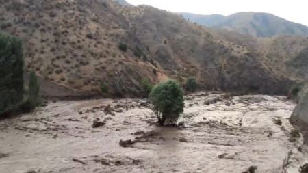   حوادث روز,اخبار حوادث,خبرهای حوادث 