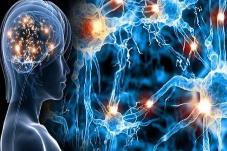 عفونت ویروسی ،اخبار پزشکی ،خبرهای پزشکی عفونت ویروسی,اخبار پزشکی ,خبرهای پزشکی