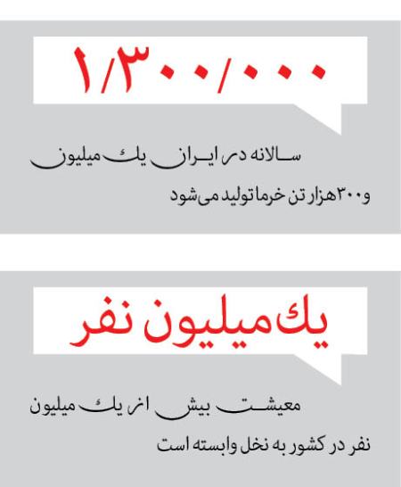 فروش نخل،اخباراقتصادی ،خبرهای اقتصادی فروش نخل ,اخباراقتصادی ,خبرهای اقتصادی