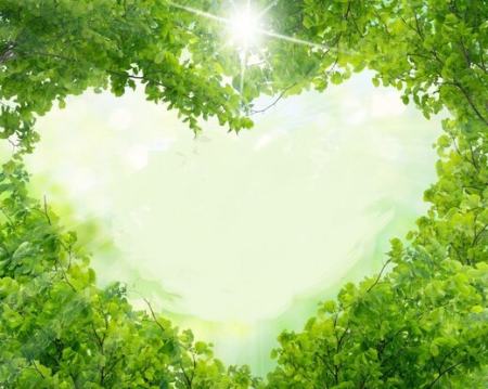 ضربان قلب ،اخبار علمی،خبرهای علمی ضربان قلب,اخبار علمی ,خبرهای علمی