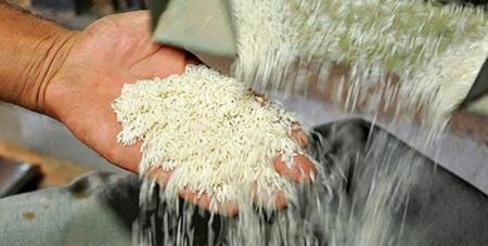 ثبت سفارش برنج،اخبار اقتصادی،خبرهای اقتصادی ثبت سفارش برنج،اخبار اقتصادی،خبرهای اقتصادی