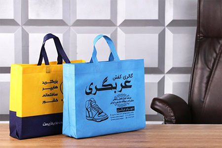تاثیر تبلیغات با شاپینگ بگ تاثیر شاپینگ بگ در تبلیغات و بازاریابی,بگ تبلیغاتی,تبلیغ ریشه در زندگی اجتماعی