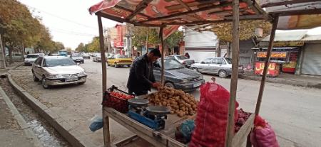 قهرمان جودوی جهان،اخبارورزشی ،خبرهای ورزشی قهرمان جودوی جهان,اخبار ورزشی ,خبرهای ورزشی
