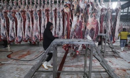 ذبح دام آبستن ،اخباراجتماعی ،خبرهای اجتماعی ذبح دام آبستن ,اخبار اجتماعی ,خبرهای اجتماعی