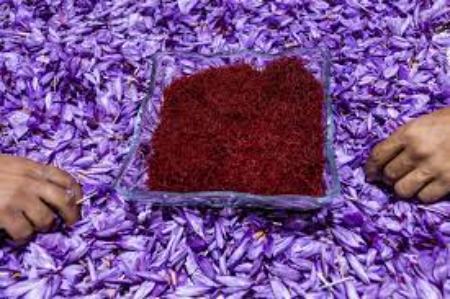 زعفران،اخباراقتصادی ،خبرهای اقتصادی زعفران,اخباراقتصادی ,خبرهای اقتصادی