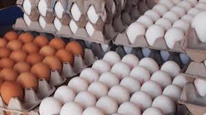 مرغ و تخم مرغ ،اخباراقتصادی ،خبرهای اقتصادی مرغ و تخم مرغ ,اخباراقتصادی ,خبرهای اقتصادی