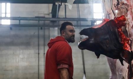ذبح دام آبستن ،اخباراجتماعی ،خبرهای اجتماعی ذبح دام آبستن ,اخبار اجتماعی ,خبرهای اجتماعی
