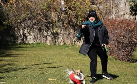نگهداری سگ و گربه در ایران ،اخباراجتماعی ،خبرهای اجتماعی نگهداری سگ و گربه در ایران,اخبار اجتماعی ,خبرهای اجتماعی