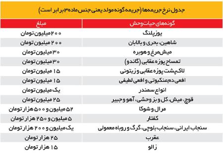 خرید و فروش حیات‌وحش ,اخبار اجتماعی ,خبرهای اجتماعی 