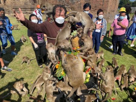 جشنواره میمونها در تایلند،اخبار گوناگون،خبرهای گوناگون جشنواره میمونها در تایلند،اخبار گوناگون،خبرهای گوناگون