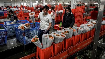 بزرگترین بازار گل آسیا در چین،اخبار گوناگون،خبرهای گوناگون بزرگترین بازار گل آسیا در چین،اخبار گوناگون،خبرهای گوناگون