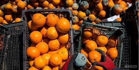 توزیع اینترنتی ،اخباراقتصادی ،خبرهای اقتصادی توزیع اینترنتی,اخباراقتصادی ,خبرهای اقتصادی