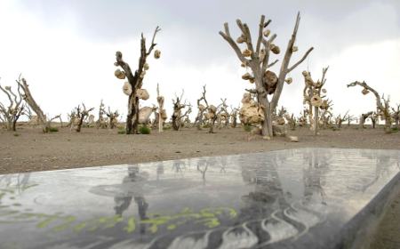 گوشوارههای سنگی درختان ،اخبارگوناگون,خبرهای گوناگون گوشوارههای سنگی درختان,اخبارگوناگون,خبرهای گوناگون