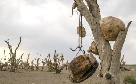 گوشوارههای سنگی درختان ،اخبارگوناگون,خبرهای گوناگون گوشوارههای سنگی درختان,اخبارگوناگون,خبرهای گوناگون