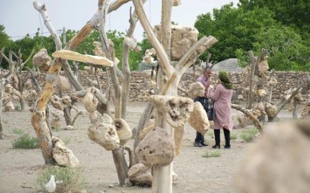 گوشوارههای سنگی درختان ،اخبارگوناگون,خبرهای گوناگون گوشوارههای سنگی درختان,اخبارگوناگون,خبرهای گوناگون