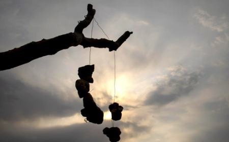گوشوارههای سنگی درختان ،اخبارگوناگون,خبرهای گوناگون گوشوارههای سنگی درختان,اخبارگوناگون,خبرهای گوناگون