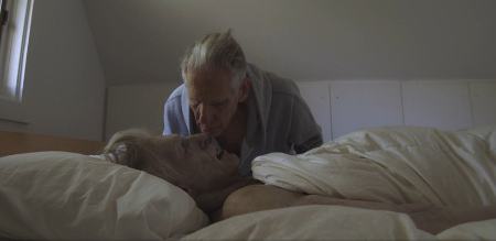 فیلم ترسناک ۲۰۲۲ ،اخبار فرهنگی،خبرهای فرهنگی فیلم ترسناک ۲۰۲۲ ,اخبار فرهنگی,خبرهای فرهنگی