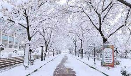 بارش برف ,اخبار اجتماعی ,خبرهای اجتماعی 
