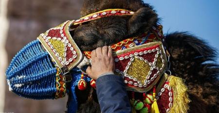  جشنواره بحث برانگیز در ترکیه,اخبارگوناگون,خبرهای گوناگون 