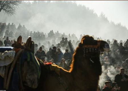 جشنواره بحث برانگیز در ترکیه ،اخبارگوناگون,خبرهای گوناگون جشنواره بحث برانگیز در ترکیه,اخبارگوناگون,خبرهای گوناگون