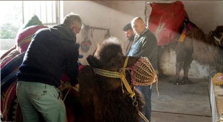  جشنواره بحث برانگیز در ترکیه,اخبارگوناگون,خبرهای گوناگون 