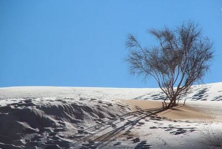 بارش برف  ,اخبارگوناگون,خبرهای گوناگون 