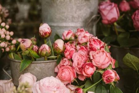 شاخه گل،اخباراقتصادی ،خبرهای اقتصادی شاخه گل ,اخباراقتصادی ,خبرهای اقتصادی