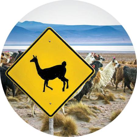 تابلوهای راهنمایی و رانندگی ،اخبارگوناگون,خبرهای گوناگون تابلوهای راهنمایی و رانندگی ,اخبارگوناگون,خبرهای گوناگون