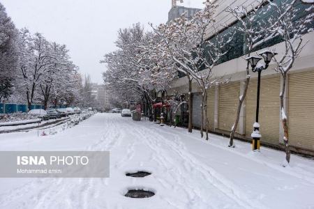 بارش برف در ایران،تصاویر خبری،عکس خبری