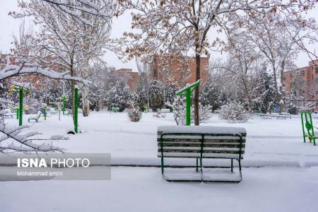 بارش برف در ایران،تصاویر خبری،عکس خبری