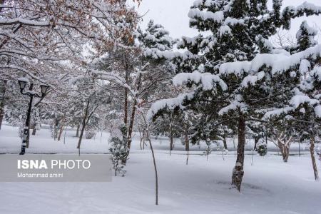 بارش برف در ایران،تصاویر خبری،عکس خبری