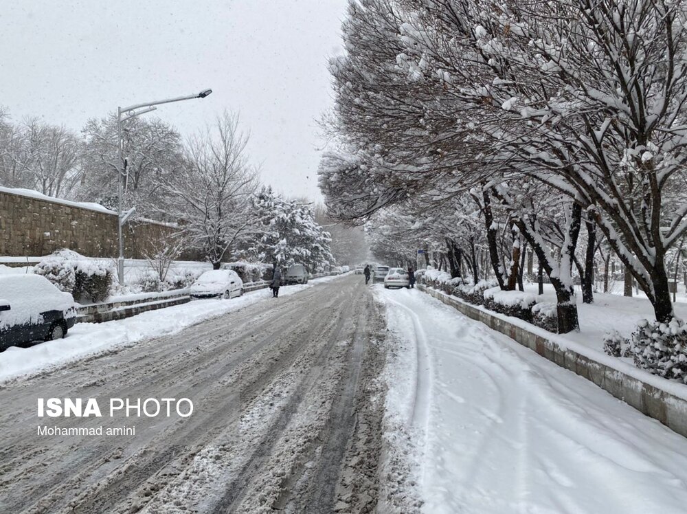 بارش برف در ایران،تصاویر خبری،عکس خبری