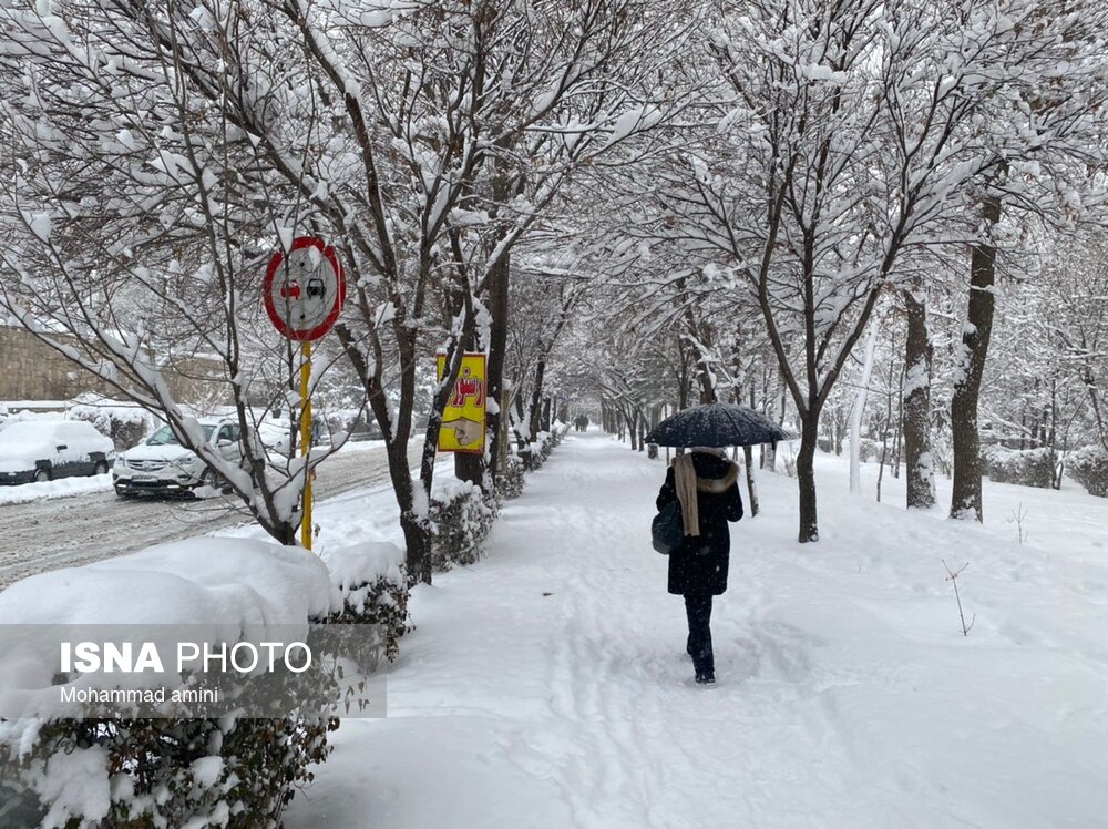 بارش برف در ایران،تصاویر خبری،عکس خبری