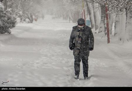 بارش برف در ایران،تصاویر خبری،عکس خبری بارش برف در ایران،تصاویر خبری،عکس خبری